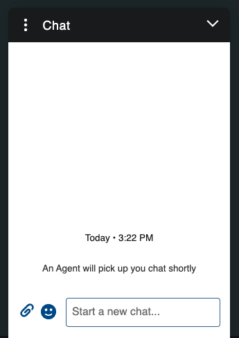 How to Use Live Chat Support as a Platinum Customer